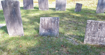 Moore Plot