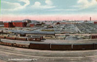 Union Stock Yards Postcard